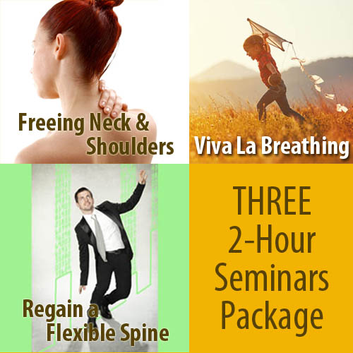 3 2-Hour Seminars Package