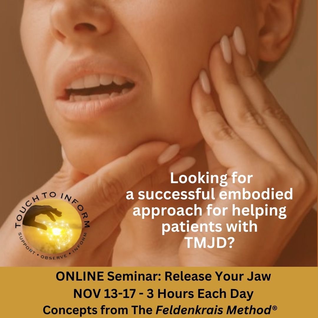 TMJ Seminar for LMTs Dentists Dental Hygienists