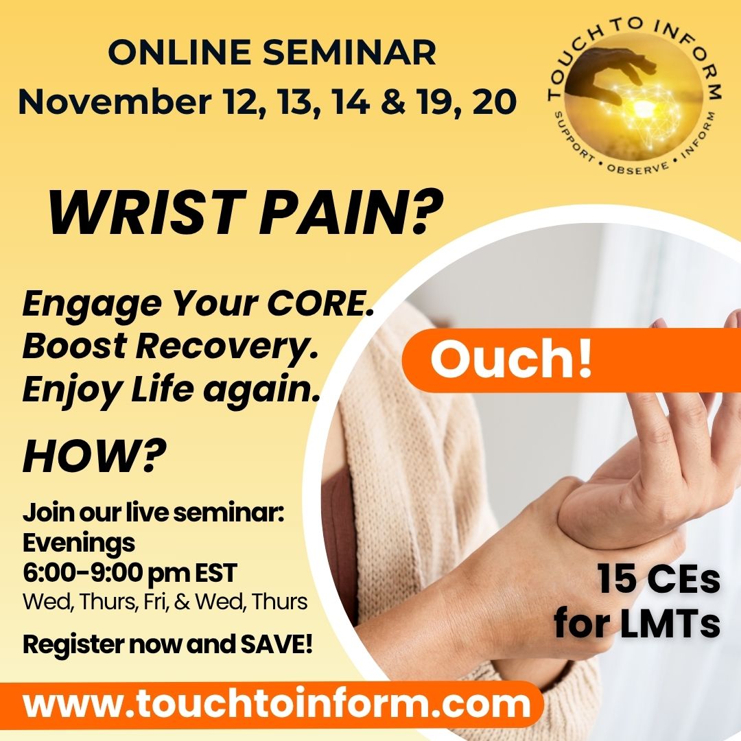 CEs Seminar for LMTs - Mobilize Your Core and Rehabilitate Repetitive Stress Injuries