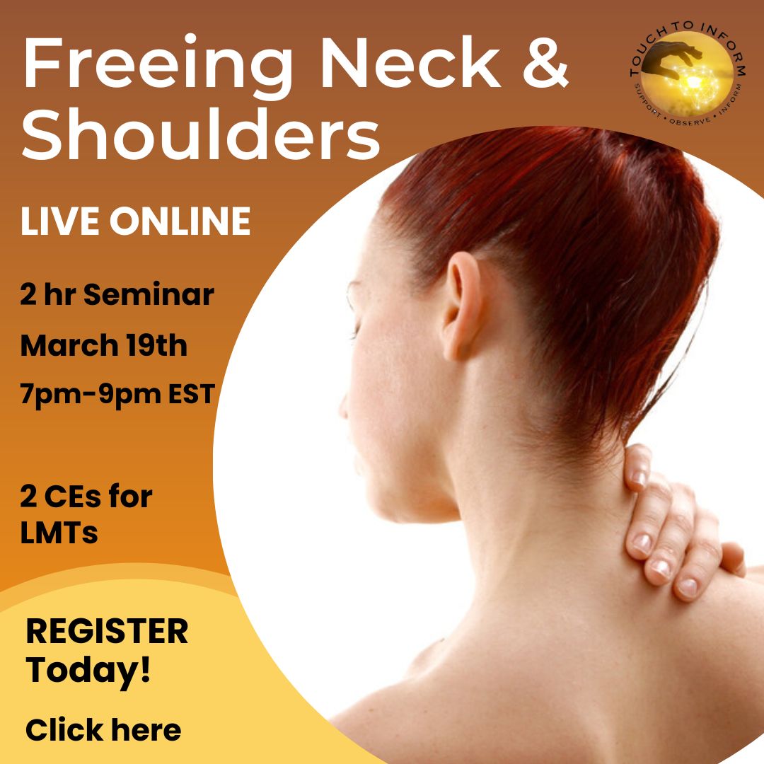 March 19 2026 - Freeing Neck and Shoulders Seminar - CEs for LMTs
