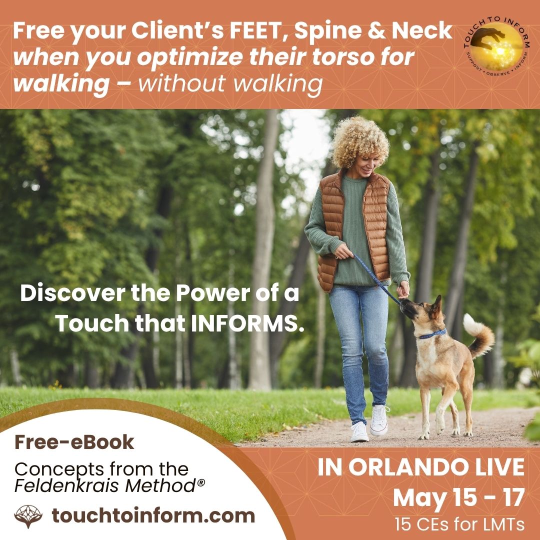 Rehab Feet Spine Neck with optimal walking - CEs for LMTs