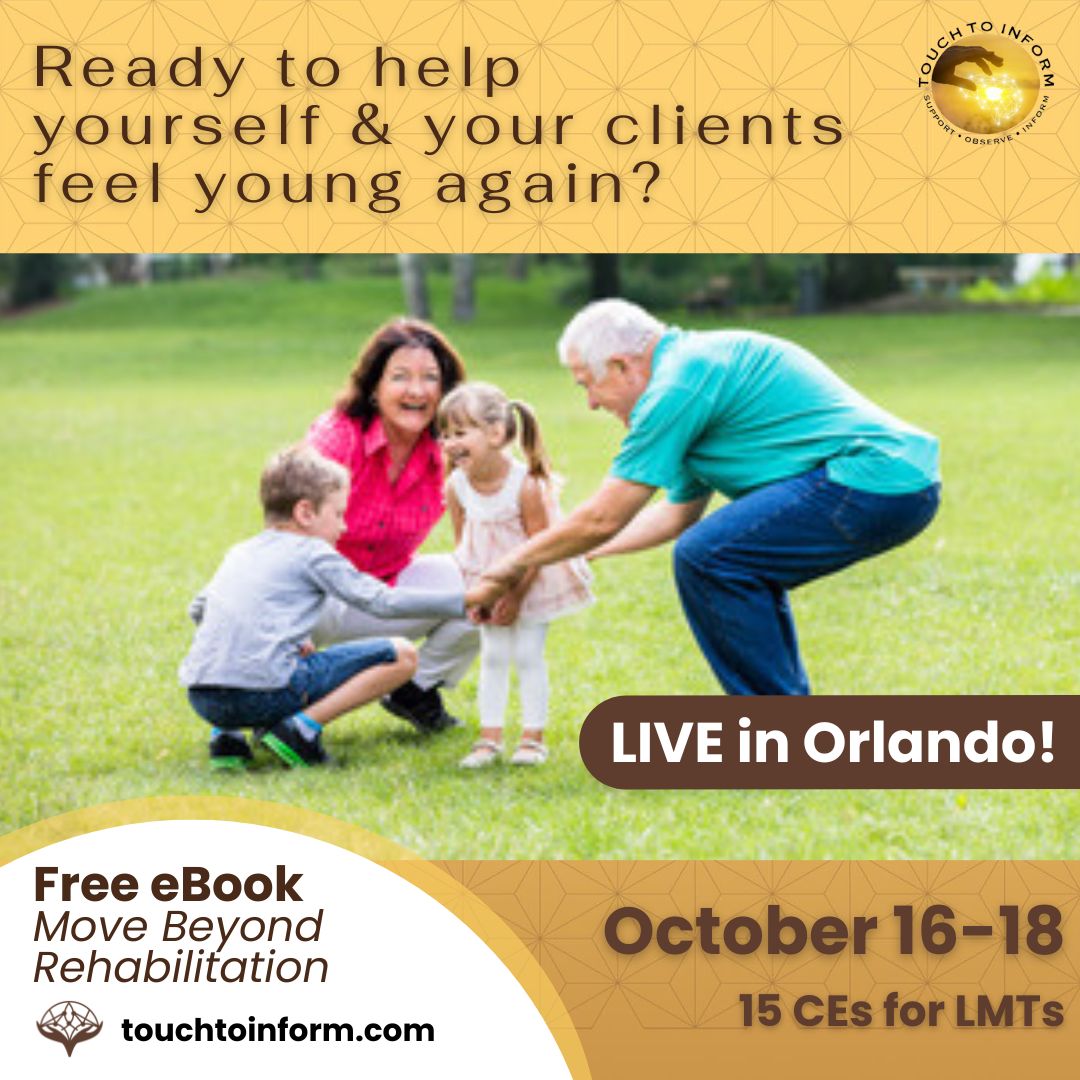 Lifelong Agility Seminar Online - CEs Seminar LIVE In-Person - Continuing Education
