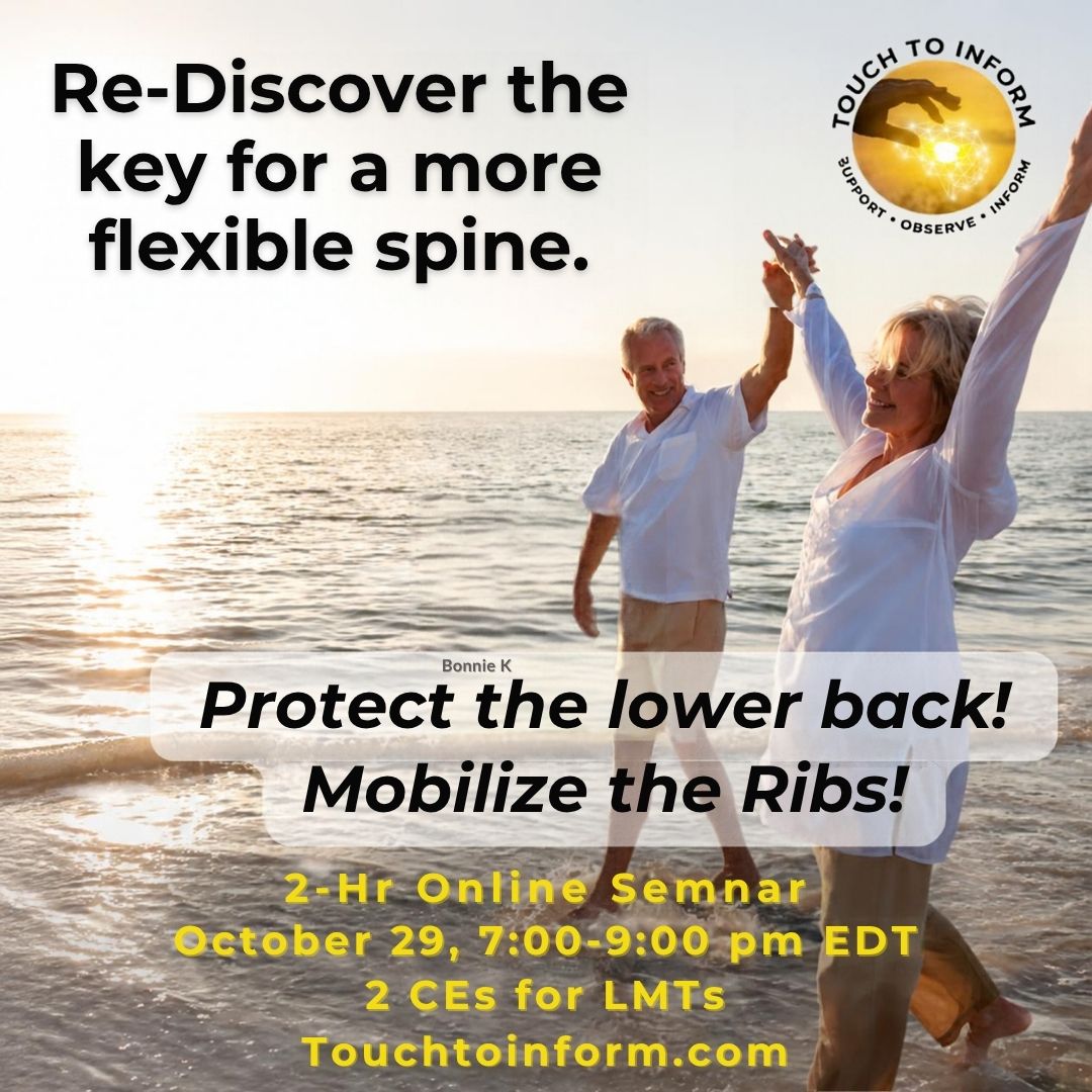 Mobilize Your Core Seminar - August 2026 - CEs for LMTs